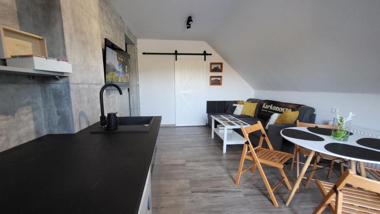 Swit - Apartament W Jezowie Sudeckim Jezow Sudecki Εξωτερικό φωτογραφία